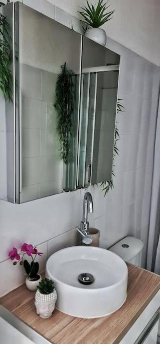 #New#Terrasse Sud Ouest#Pied De La Cite #1 Apartment Carcassonne Exterior photo